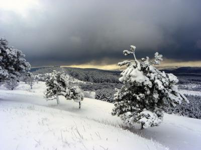 Прикрепленное изображение: 3756767_large.jpeg